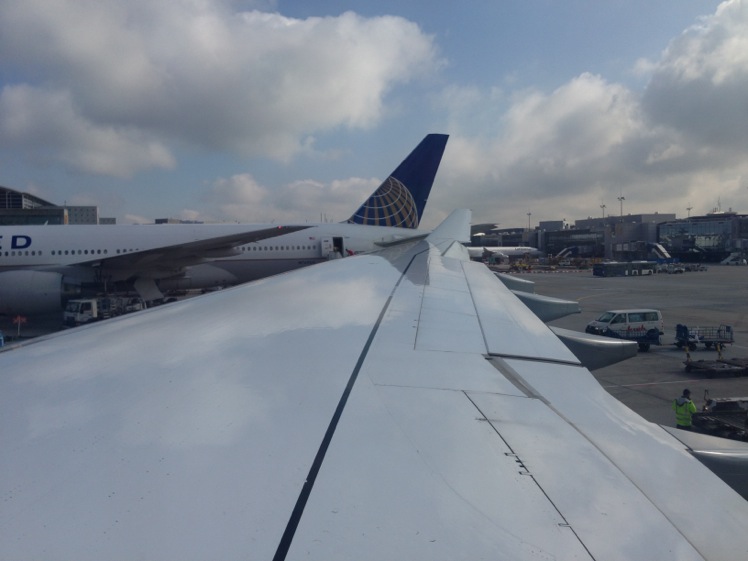Wing view