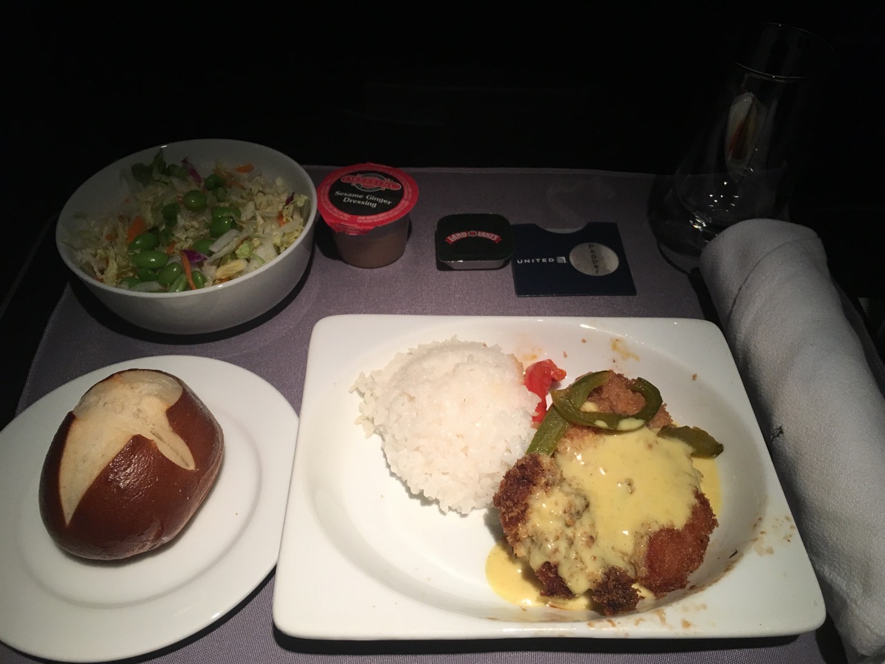 United Airlines Domestic First Class Meal